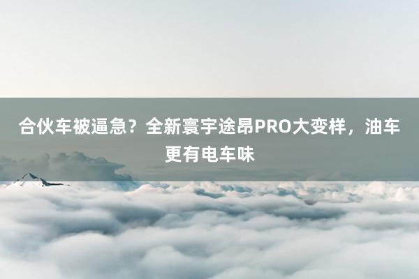 合伙车被逼急？全新寰宇途昂PRO大变样，油车更有电车味