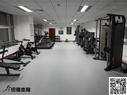济南某集团采购的伟德国际1946提供的健身器材